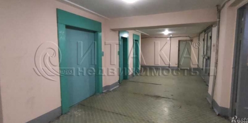 Комната Ольги Форш,  д. 5