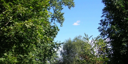 1-комн квартира Глазурная ул ,  д. 2