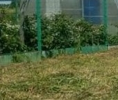 Продать Земельные участки, земля Простоквашино кп, улица Почтальона Печкина  154 