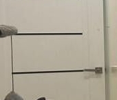 Продать Квартиры вторичка пос. Шушары, переулок Вилеровский, 8   