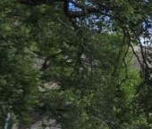 Продать Дачи, коттеджи, загородные дома Сестрорецк, Угольная улица, 33   