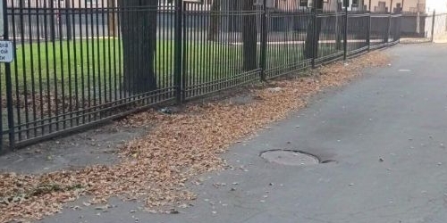 Комната 14-я Парковая улица, 4