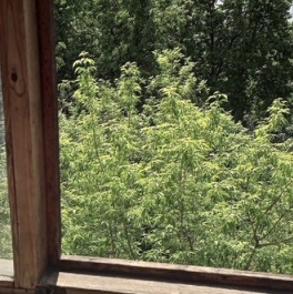 Продажа 1-комн квартиры на вторичном рынке улица Амундсена,  д. 5