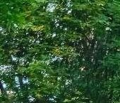 Продать Квартиры вторичка Кронштадт, Владимирская улица, 47   