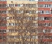 Продать Квартиры вторичка Красное Село, Стрельнинское шоссе, 4к2   