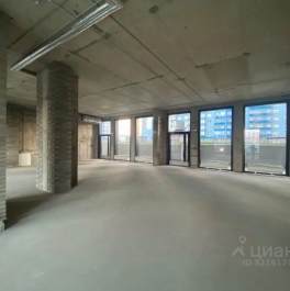 Аренда ПСН Витебский пр-кт,  д. 99 к1