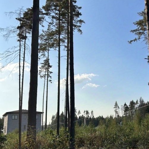 Земельный участок Озерная долина ДНП,  д. 49