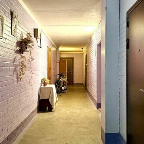 2-комн квартира Ветеранов пр-кт