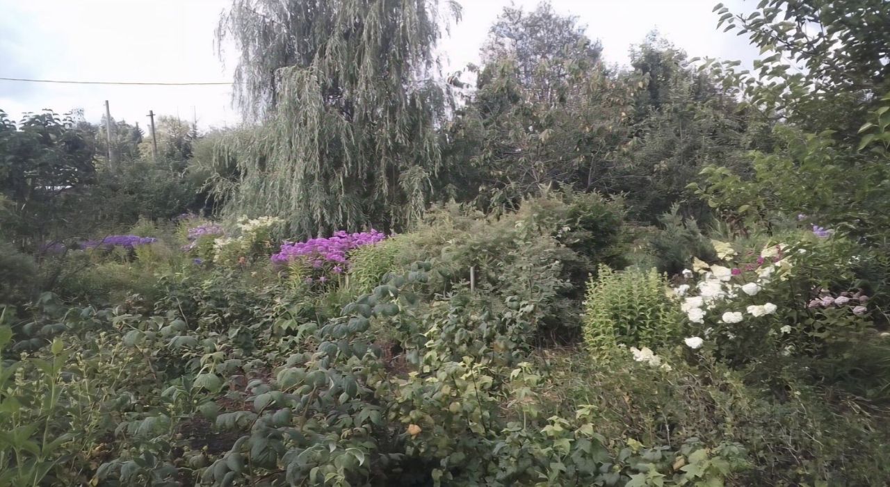Продажа дома д. Захонье, 29