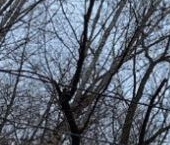 Продать Квартиры вторичка Авиационная улица, 70К3   