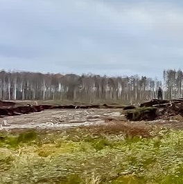 Продажа земли Щегловское Раздолье кп, д. 21 Продажа земли Щегловское Раздолье кп, д. 21