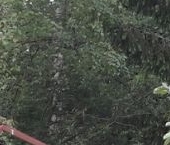 Продать Дачи, коттеджи, загородные дома Трубников Бор садоводческий массив   