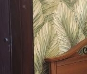 Сдать в аренду Квартиры вторичка Палехская улица, 17   