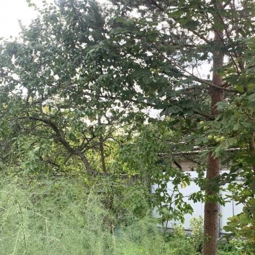 Коттедж/дом Вырица городской поселок, улица Менделеева