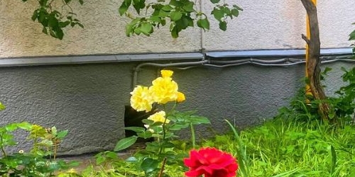 1-комн квартира проспект 60-летия Октября, 5К1