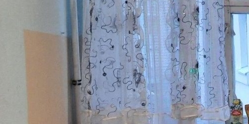 1-комн квартира Сестрорецк, улица Токарева, 15