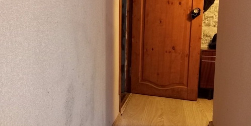 1-комн квартира Большая Ижора пос., Приморское ш.,  д. 5