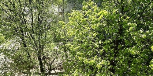 2-комн квартира ул Раменки,  д. 14,  к. 1