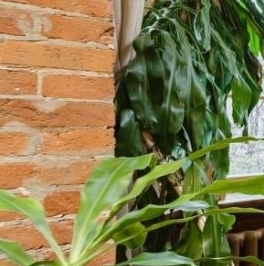 Продажа 3-комн квартиры на вторичном рынке Малая Бронная улица, 30/1