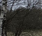 Продать Земельные участки, земля д. Лопухинка, 4   