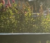 Продать Дачи, коттеджи, загородные дома д. Кипень, улица Новостроек-2, 53/2   