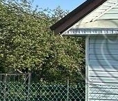 Продать Дачи, коттеджи, загородные дома д. Глумицы, 47   