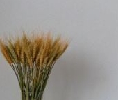 Продать Квартиры вторичка Складочная улица, 8к2   