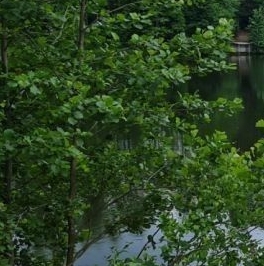 Продажа дома Междуречье СНТ