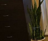 Продать Квартиры вторичка Большая Косинская улица, 16К1   