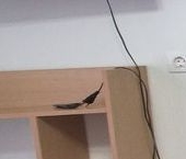 Сдать в аренду Квартиры вторичка Балашиха, улица Бояринова, 25   