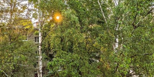 1-комн квартира Павловск, Гуммолосаровская улица, 23