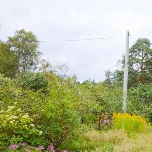 Коттедж/дом Вырица городской поселок, улица Карла Маркса