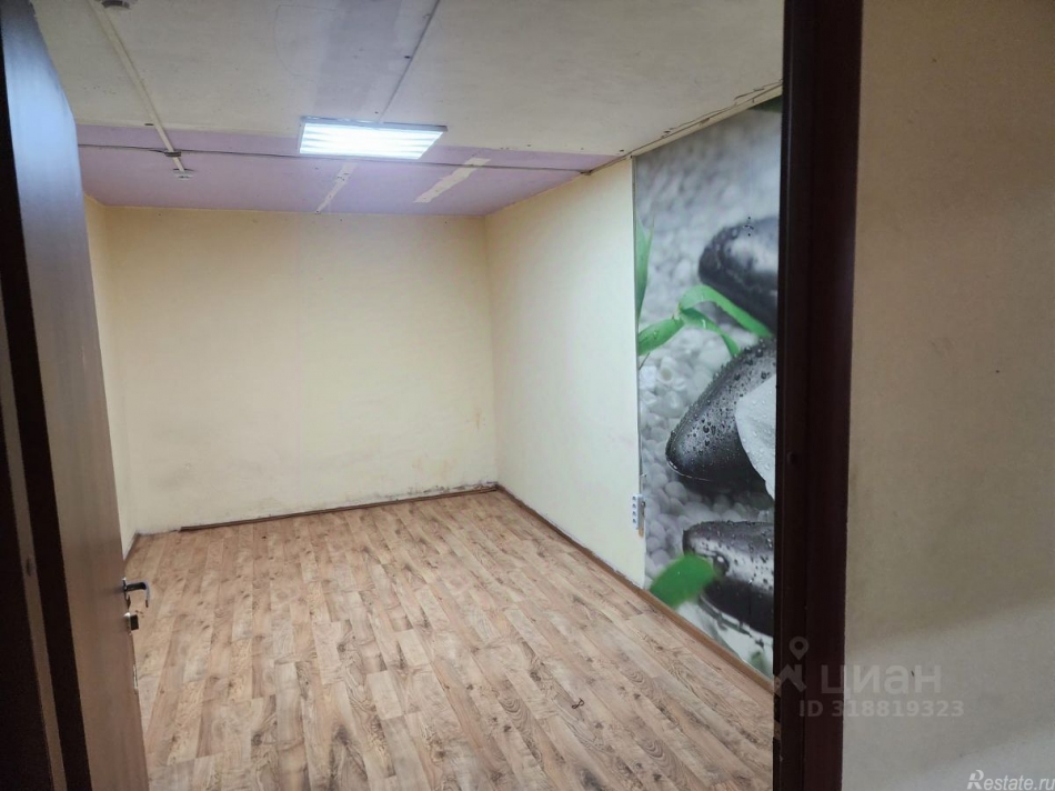 Аренда ПСН Владимирская 1-я ул,  д. 16