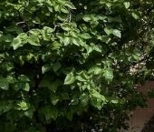 Продать Квартиры вторичка Мытищи, улица Колпакова, 34к2   