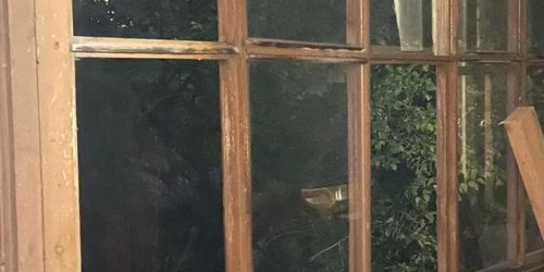 2-комн квартира Петергоф, Никольская улица, 10