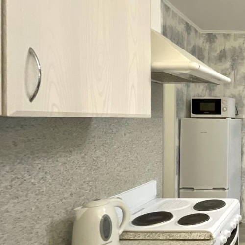 Студия пос. Шушары, улица Валдайская, 1