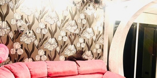 3-комн квартира ул Болотниковская,  д. 36,  к. 6