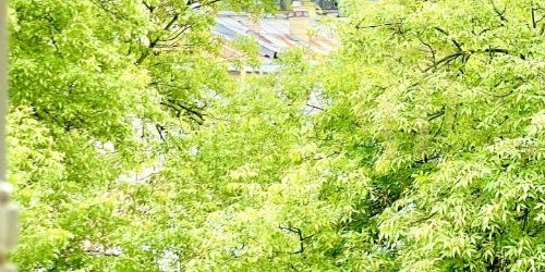 4-комн квартира Думская улица, 5/22