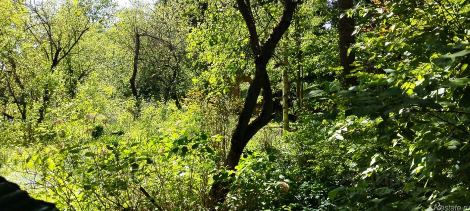 Продажа земли Семхоз, улица Грибоедова,  д. 24