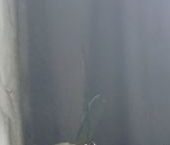 Продать Квартиры вторичка пос. Бугры, улица Школьная, 11к1   