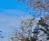 Продать Квартиры вторичка бульвар Дмитрия Донского, 15   