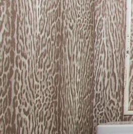 Аренда 1-комн квартиры на вторичном рынке Широкая улица, 1К4