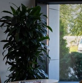 Продажа студии Ташкентская улица, 6к2 Продажа студии Ташкентская улица, 6к2