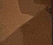 Продать Квартиры вторичка Жуковский, улица Гринчика, 6   