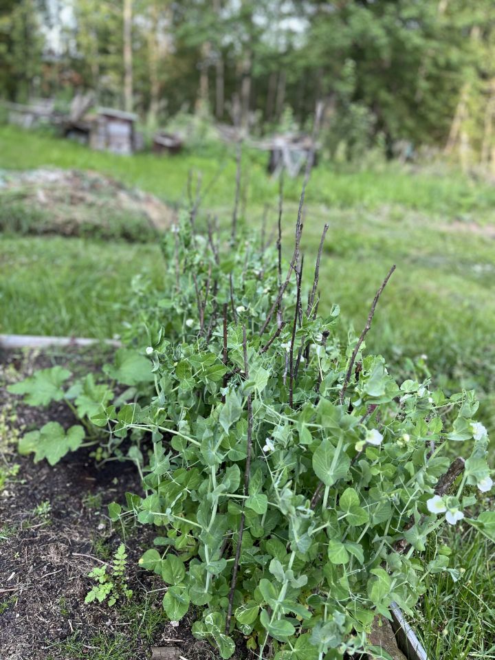 Продажа дома Сказка СНТ,  д. 16