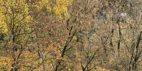 2-комн квартира Аргуновская улица, 8