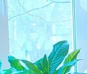 Продать Квартиры вторичка улица Лени Голикова, 14   