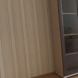 Аренда 1-комн квартиры на вторичном рынке Химки, Совхозная улица, 14