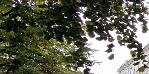 3-комн квартира Зверинская улица, 17аВ