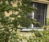 Продать Квартиры вторичка Подольск, улица Симферопольская, 17   